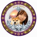 ちょっこ🐕☀️