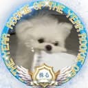 すたいんるか。