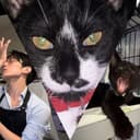 手豆🐈⬛🐈⬛🐶🐶🌱🧑🏻💼