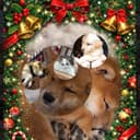 ザッキー【九州】